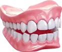The Downtown Dentists logo